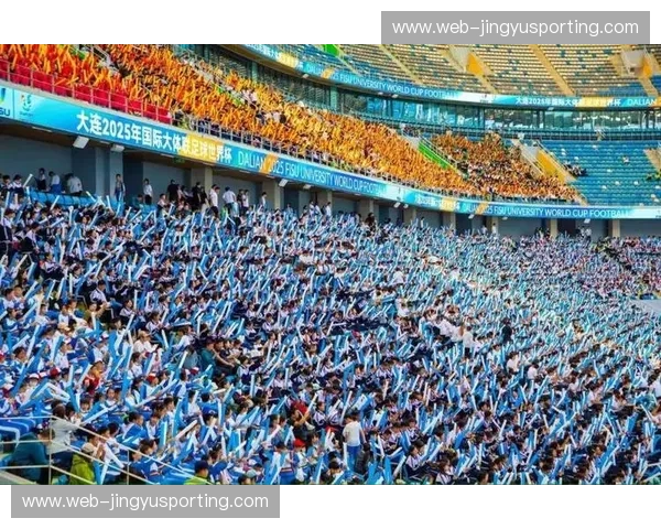 足球的狂欢，非洲的骄傲：南非世界杯，一段载入史册的开幕战